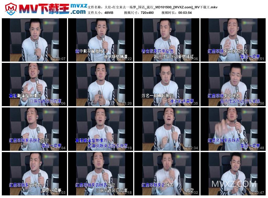 大壮-红尘来去一场梦_国语_流行_MD101500